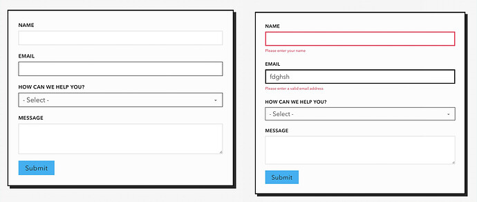 Brickforge-Pro-Forms-bug